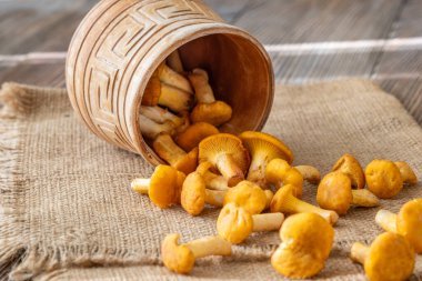 Çuval bezi doğal ahşap yüzeyine saçılmış mantarlı açık kahverengi bardak.