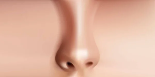 Vector Illustration Pandangan Depan Realistik Hidung Manusia - Stok Vektor