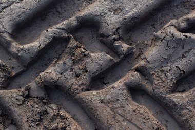 Yerde eski lastik izleri var. Kumdaki lastik izleri. 