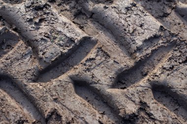 Odessa 'da toprak bir yolda lastik izi.