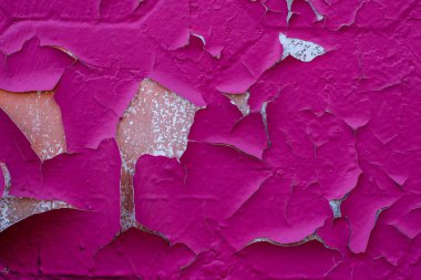 Soyulmuş ahududu renkli boya modern sanat galerisi Lavra 'nın Kyiv bölgesindeki eski bir duvarda dokulu ve parlak görünüyor..