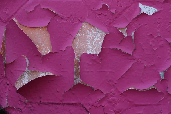 stock image Peeled fuchsia paint looks textured and bright on an old wall in Kyiv on the territory of the art gallery of modern art Lavra.