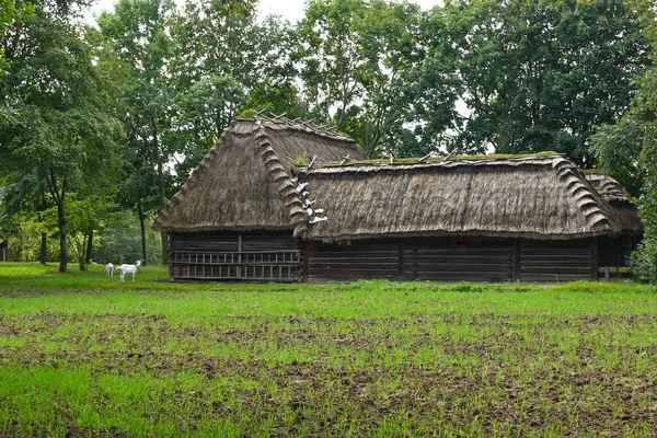 Люблін Польща Вересня 2022 Thatched House Lublin Open Air Village — стокове фото