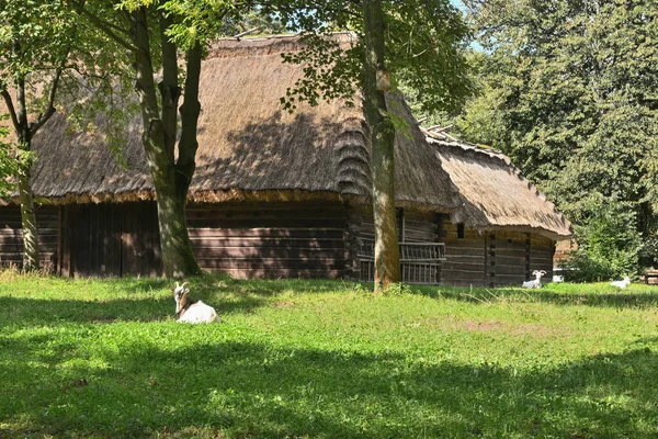 Lublin Polska Września 2022 Thatched House Lublin Open Air Village — Zdjęcie stockowe