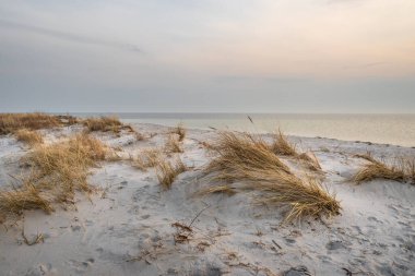 Polonya 'nın Hel Yarımadası' ndaki Baltık Denizi plajı