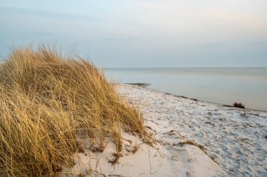 Polonya 'nın Hel Yarımadası' ndaki Baltık Denizi plajı