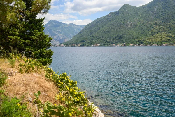 Picturesque Bay Kotor Seen Perast Port City Montenegro — стоковое фото