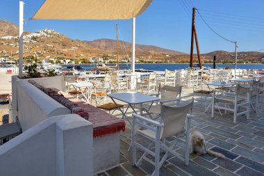 Serifos Adası 'ndaki Livadi köyünde deniz manzaralı tipik bir sahil restoranı. Yunanistan