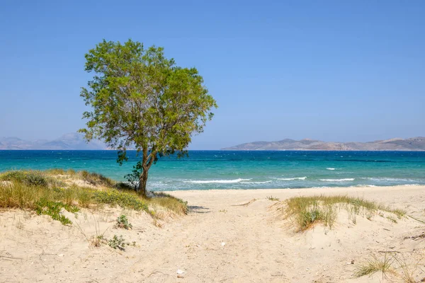 Altın kumu ve turkuaz suyu olan güzel Marmari plajı. Kos Adası, Greec