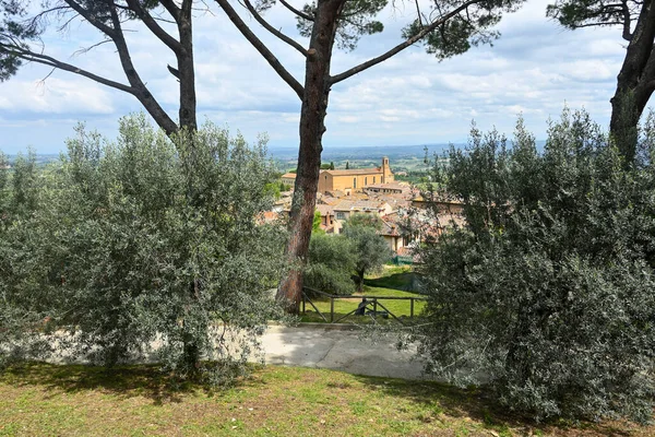Parki San Gimignano Town Tuscan Countryside Italy — Stock Photo, Image
