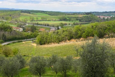 Güzel bir ilkbahar Toskana kırsalı. Siena vilayeti. İtalya