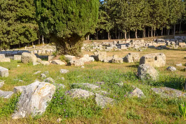 ギリシャのコス島のアシェリオン考古学遺跡 — ストック写真