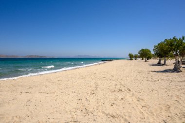 Marmari plajı, beyaz kum ve turkuaz suyla. Yunanistan 'ın Kos Adası