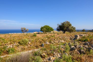 Yunanistan 'ın Kos adasındaki Antimachia Kalesi' nin kısa bitki örtüsü ve kalıntıları