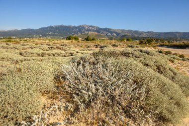 Tigaki sahilindeki kum tepecikleri. Dağ manzarası. Kos Adası. Yunanistan