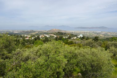 Manzaralı yaz manzarası. Kos Adası, Dodecanese, Yunanistan
