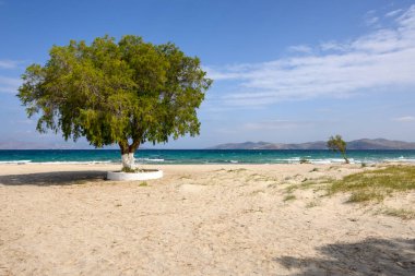 Yunanistan 'ın Kos adasındaki Marmari plajı. Yunanistan