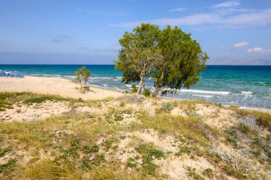 Altın kumu ve zümrüt suları olan güzel Marmari plajı. Kos Adası, Yunanistan