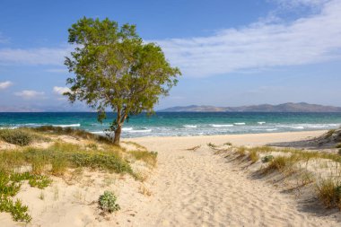 Altın kumu ve zümrüt suları olan güzel Marmari plajı. Kos Adası, Yunanistan