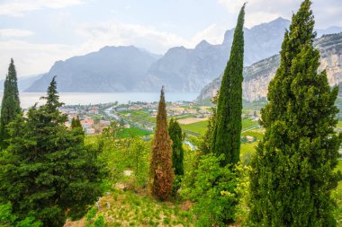 Kuzey Garda Gölü ve Nago-Torbole 'da panoramik açıdan görülen selvi ağaçları. İtalya