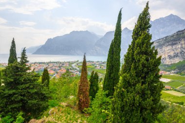 Kuzey Garda Gölü ve Nago-Torbole 'da panoramik açıdan görülen selvi ağaçları. İtalya