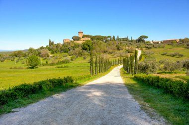 Bahar günü İtalya 'nın Siena eyaleti Val d' Orcia 'da Toskana kırsalında.