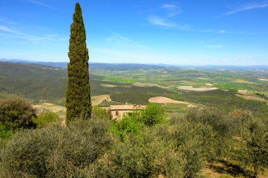 İtalya, Siena eyaletinin Montalcino yakınlarındaki Toskana kırsalında.