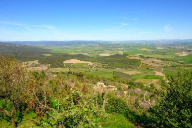 İtalya, Siena eyaletinin Montalcino yakınlarındaki Toskana kırsalında.