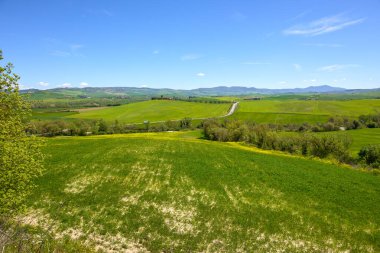 Castiglione d 'Orcia, İtalya - 26 Nisan 2023: Tuscany' nin yeşil bahar tepeleri. İtalya