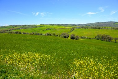 Toskana, İtalya - 26 Nisan 2023: Siena ili, İtalya