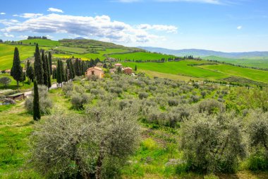 Monticchiello, İtalya - 27 Nisan 2023: Monticchiello yakınlarındaki Tuscany kırsal alanı. İtalya