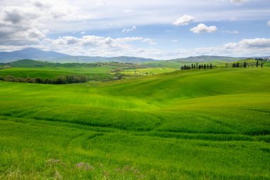 Pienza, İtalya - 28 Nisan 2023: Idyllic Tuscan ilkbahar manzarası ve Pienza yakınlarında yeşil alanlar. İtalya, Avrupa