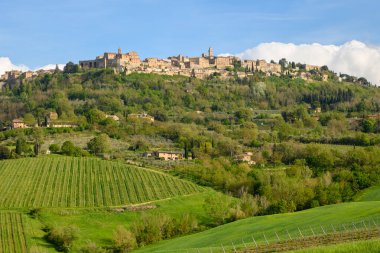 Montepulciano, İtalya - Nisan 2023: Siena eyaletinin Montepulciano köyünün bahar manzarası. Toskana, İtalya