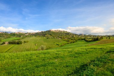 Montepulciano, İtalya - Nisan 2023: Siena 'daki Montepulciano köyünün panoramik manzarası. Toskana, İtalya