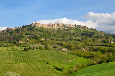 Montepulciano, İtalya - Nisan 2023: Siena eyaletinin Montepulciano köyünün bahar manzarası. Toskana, İtalya