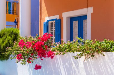 Çiçekler Symi Adası 'ndaki evlerin yanında çiçek açıyor. Dodekanese, Yunanistan