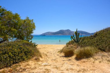 Gök mavisi deniz suyuyla Ano Koufonisi plajı. Küçük Kiklad, Yunanistan