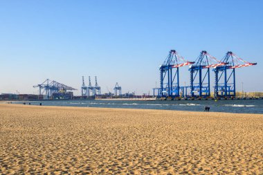 Gdansk, Polonya - 23 Mart 2025: Gdansk 'ta Sandy Stogi plajı ve arka planda vinçler. Polonya