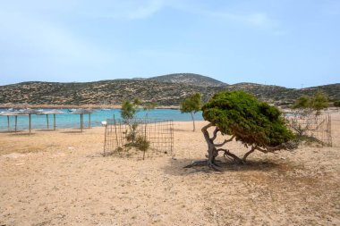 Amorgos 'taki Kalotaritissa plajı adanın güney tarafında yer almaktadır. Cycades, Yunanistan