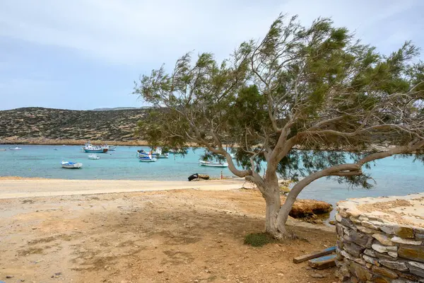 Amorgos 'taki Kalotaritissa plajı adanın güney tarafında yer almaktadır. Cycades, Yunanistan
