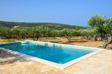Hırvatistan 'ın Brac adasındaki tipik yazlık villada yüzme havuzu ve zeytin ağaçları