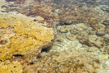 Temiz turkuaz suyu olan bir çakıl taşı plajının kıyısı. Brac adasındaki Likva plajı. Hırvatistan
