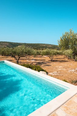 Hırvatistan 'ın Brac adasında tipik bir yazlık havuz