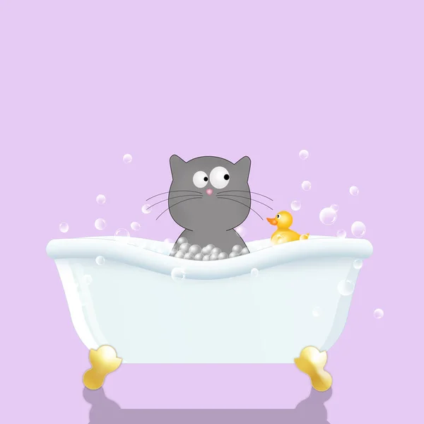 Illustration Nice Cat Bath — Stock Photo, Image