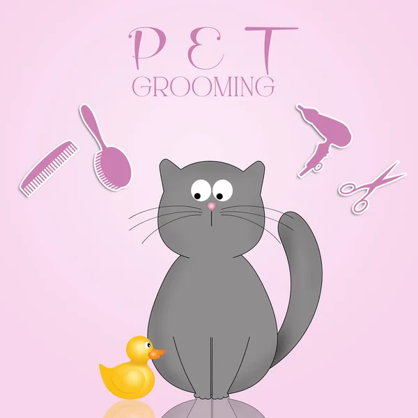 Illustration Cat Pets Grooming — Stock Photo, Image