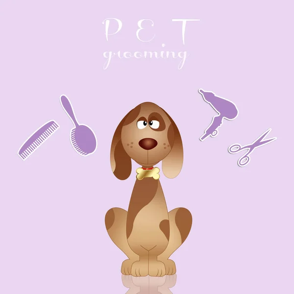 Ilustração Bom Cão Para Pet Grooming — Fotografia de Stock