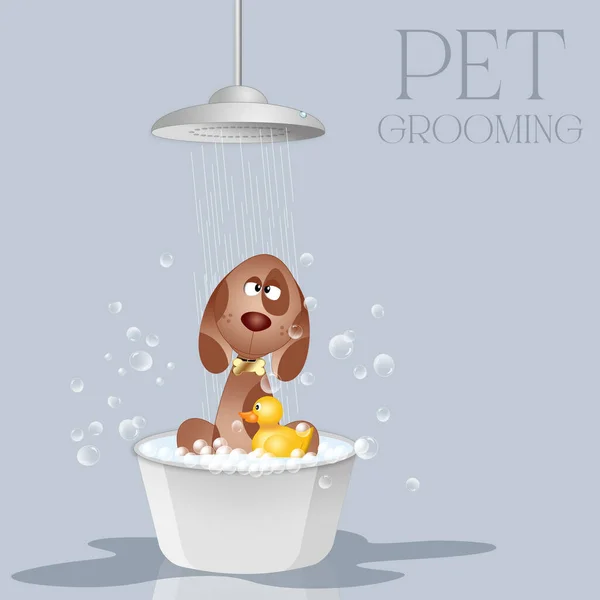 Illustration Funny Cat Pet Grooming — Stock Photo, Image