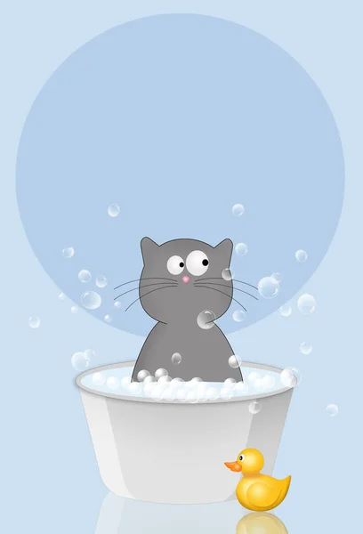 Illustration Trevlig Katt För Sällskapsdjur Grooming — Stockfoto