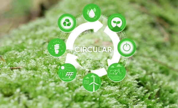 Circular economy icon. The concept of eternity, endless and unlimited, circular economy for future growth of business and environment sustainable on green nature background