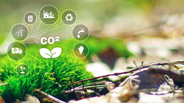 Green energy concept help reduce global warming..Hand holding natural background light bulb on green leaf with clean energy icon around it. Carbon dioxide emission in industry zero carbon concept